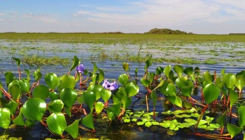 Turismo rural en los Esteros del Iberá